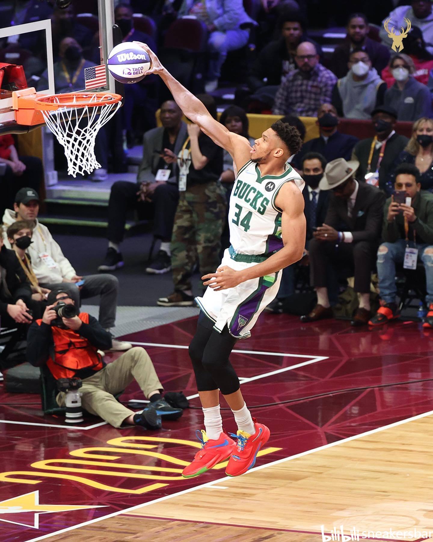 山茶油精炼设备 植物油脂成套设备